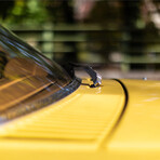 Rare 1976 Mercedes 450SL // Yellow