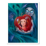 The Fairest in the Land