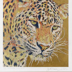 September Song // v.4 // Framed