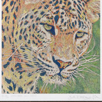 September Song // v.1 // Framed