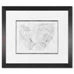 Etude GXXH // Framed