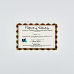 Robocop 5  // Original Movie Cels