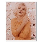 Marilyn Monroe XII