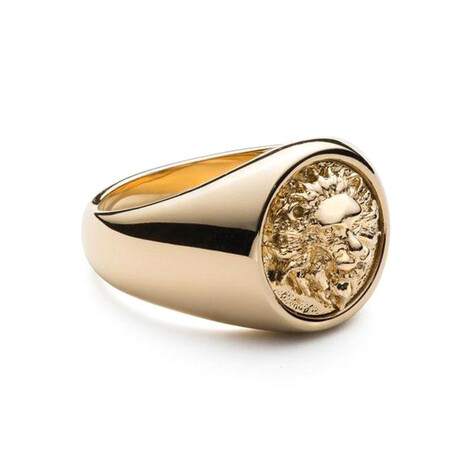 Lion Head Minimalist Signet Ring // Gold (7)