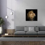 The King of the Jungle (18"H x 18"W x 0.75"D)