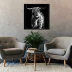 Hippy Highland Cow (18"H x 18"W x 0.75"D)