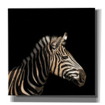 Zebra (18"H x 18"W x 0.75"D)