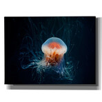Peachy Jellyfish (18"H x 26"W x 0.75"D)