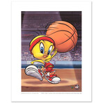 Roundball Tweety