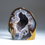 Genuine Natural Agate Geode v.1