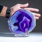 Genuine Agate Slice + Acrylic Display Stand // v.10