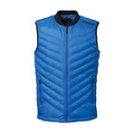 Puffer Vest // Cobalt Blue (Small)