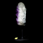 Perfectly Petite Amethyst Agate // Stand Mounted // v.1
