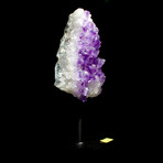 Perfectly Petite Amethyst Agate // Stand Mounted // v.1