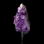 Dynamic Matrix Amethyst // Mini Mount