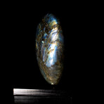 Iridescent Labradorite Freeform // Small // v.2