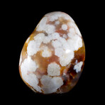 Translucent Agate Free Form // Medium // v.1