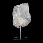 Amethyst Agate // Stand Mounted