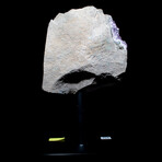 Perfectly Petite Amethyst Agate // Stand Mounted // v.2