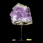 Perfectly Petite Amethyst Agate // Stand Mounted // v.2