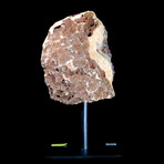 Perfectly Petite Amethyst Agate // Stand Mounted // v.3