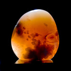 Translucent Agate Free Form // Small