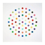 Damien Hirst //  Cineole // 2004