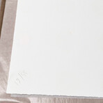 Damien Hirst //  Mannitol // 2016