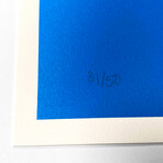 Damien Hirst //  Till Death Do Us Part - Careleun Blue Pigment, Yellow Royal Red Pop Skull // 2012