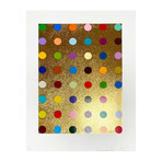 Damien Hirst // Aurous Iodide // 2009