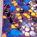 Damien Hirst // Cathedral (Non) D/D - Notre Dame; // 2007