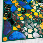 Damien Hirst //  Cathedral (Non) D/D St Paul // 2007