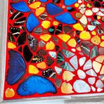 Damien Hirst // Cathedral (Non) D/D Duomo // 2007