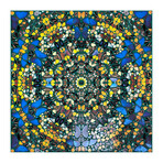 Damien Hirst //  Cathedral (Non) D/D St Paul // 2007