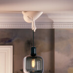 CEELINGS "Happy Hermann"