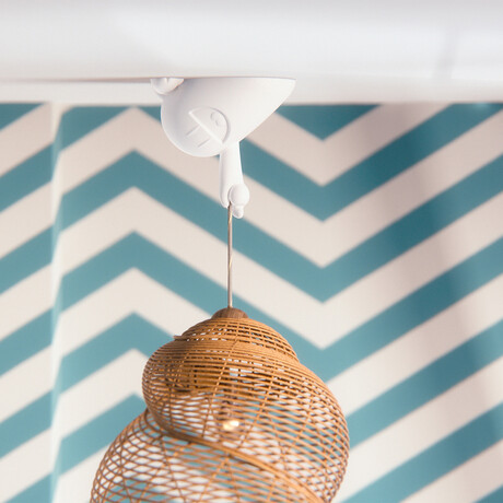 CEELINGS "Happy Hermann"