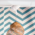 CEELINGS "Happy Hermann"