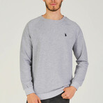 Gustavo Sweatshirt // Gray (3X-Large)