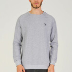 Gustavo Sweatshirt // Gray (3X-Large)