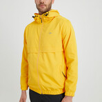 Collin Jacket // Yellow (XL)