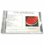 Stephen Curry // Golden State Warriors // Signed Shoe