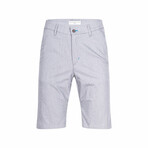 John Urban Shorts // Gray (X-Small)