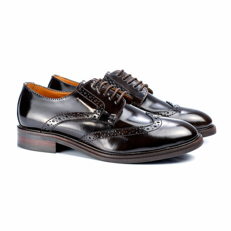 Antevo Derby Shoes // Brown (Euro: 39)