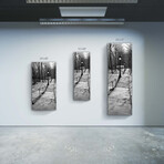 City Series // Monmartre Stairs (48"H x 16"W x 0.5"D)