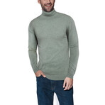 Turtle Neck Sweater // Sage (XL)