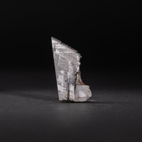 Genuine Muonionalusta Meteorite Slice // 17.4 g