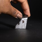 Genuine Muonionalusta Meteorite Slice // 31 g