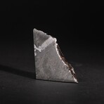 Genuine Muonionalusta Meteorite Slice // 31 g