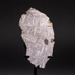 Genuine Muonionalusta Meteorite on Metal Stand // 5.2 lb