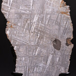 Genuine Muonionalusta Meteorite on Metal Stand // 5.2 lb